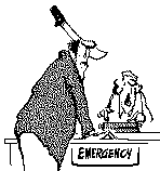 herman3.gif